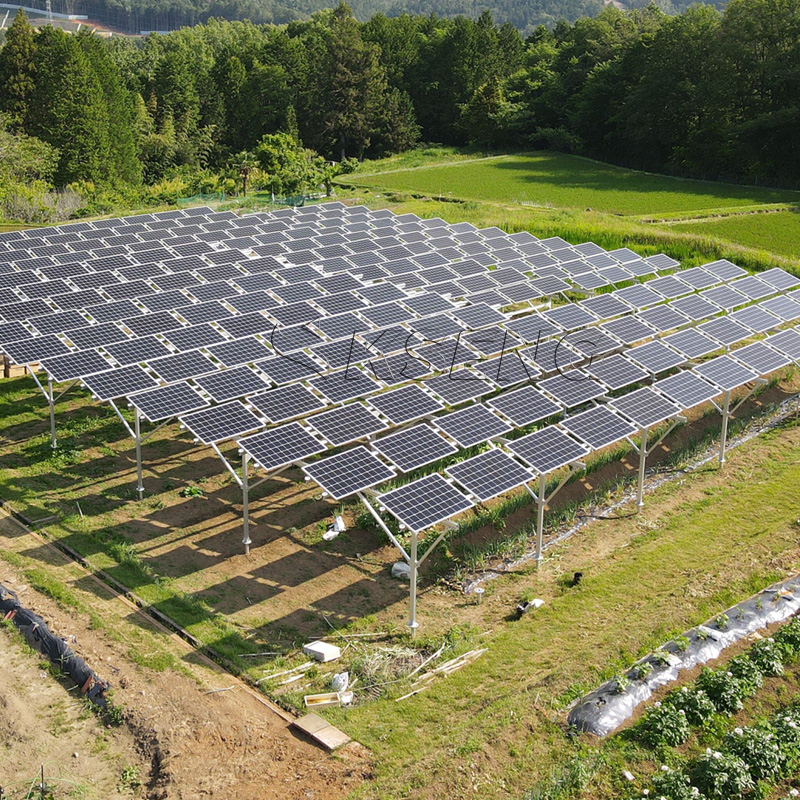 1MW for PV Agricultural Photov – Agriculture Farming Services Bewertung und Preis