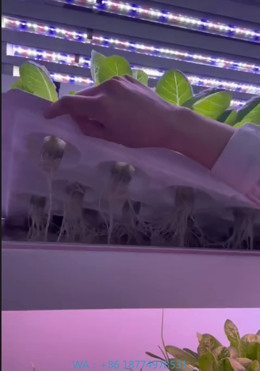 f Greenhouse Agricultural Equi – Agriculture Farming Systems Bewertung und Preis