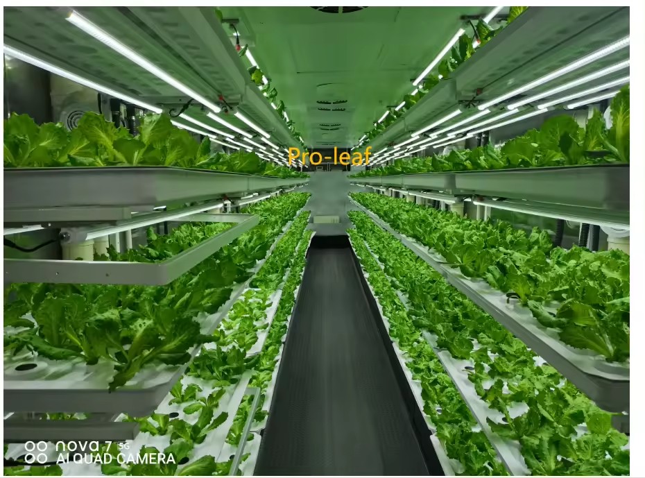 f Greenhouse Agricultural Equi – Agriculture Farming Systems Bewertung und Preis