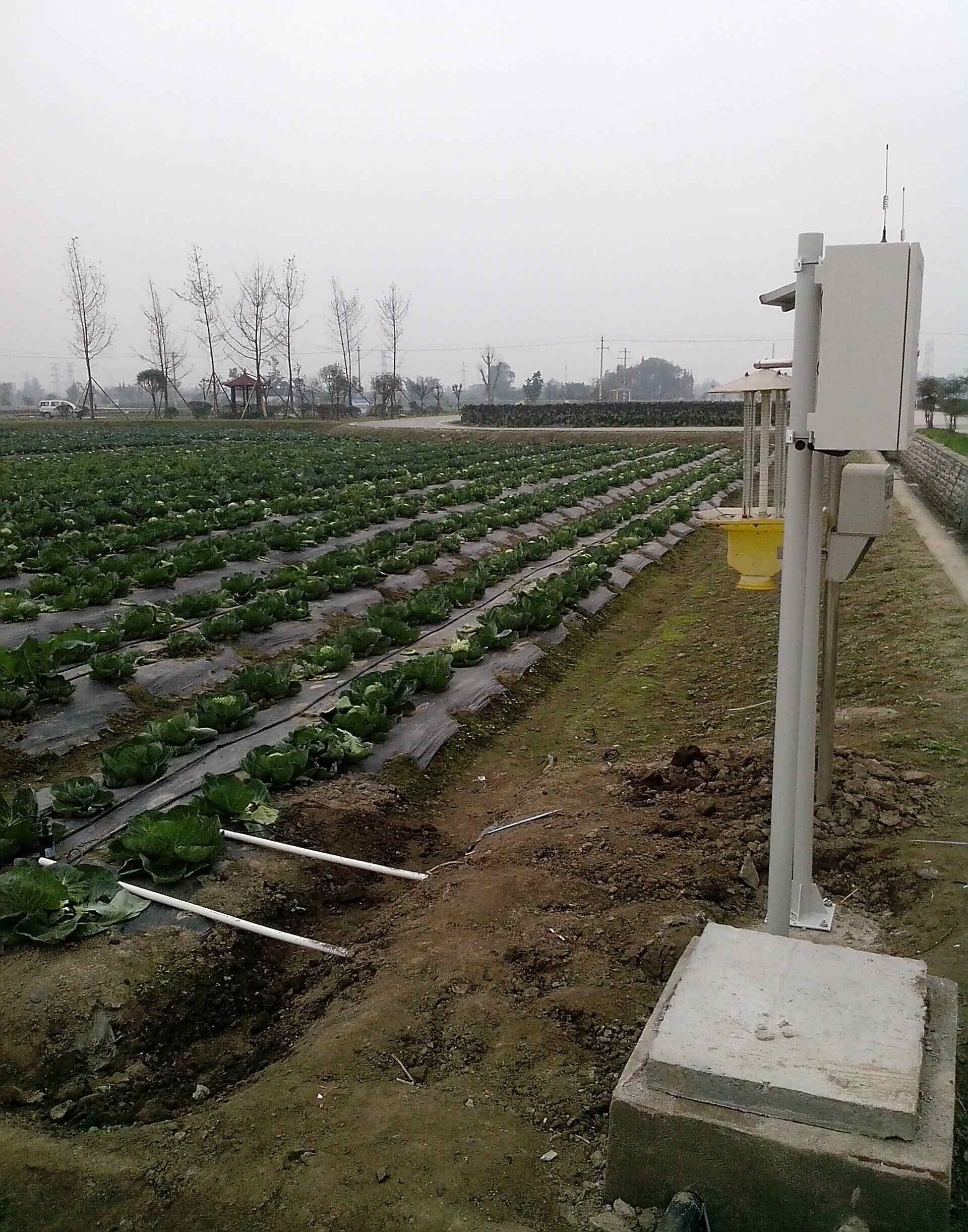 In stock 2026 Smart Crops Farm – Agriculture Farming Systems Bewertung und Preis