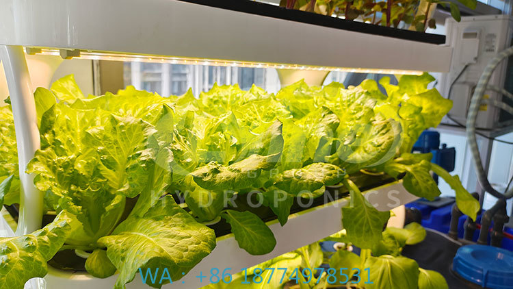 c Agriculture Machine to Growi – Agriculture Farming Systems Bewertung und Preis