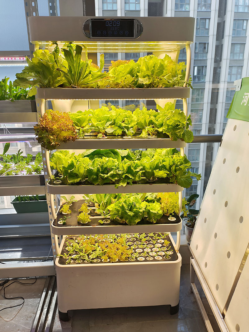 c Agriculture Machine to Growi – Agriculture Farming Systems Bewertung und Preis