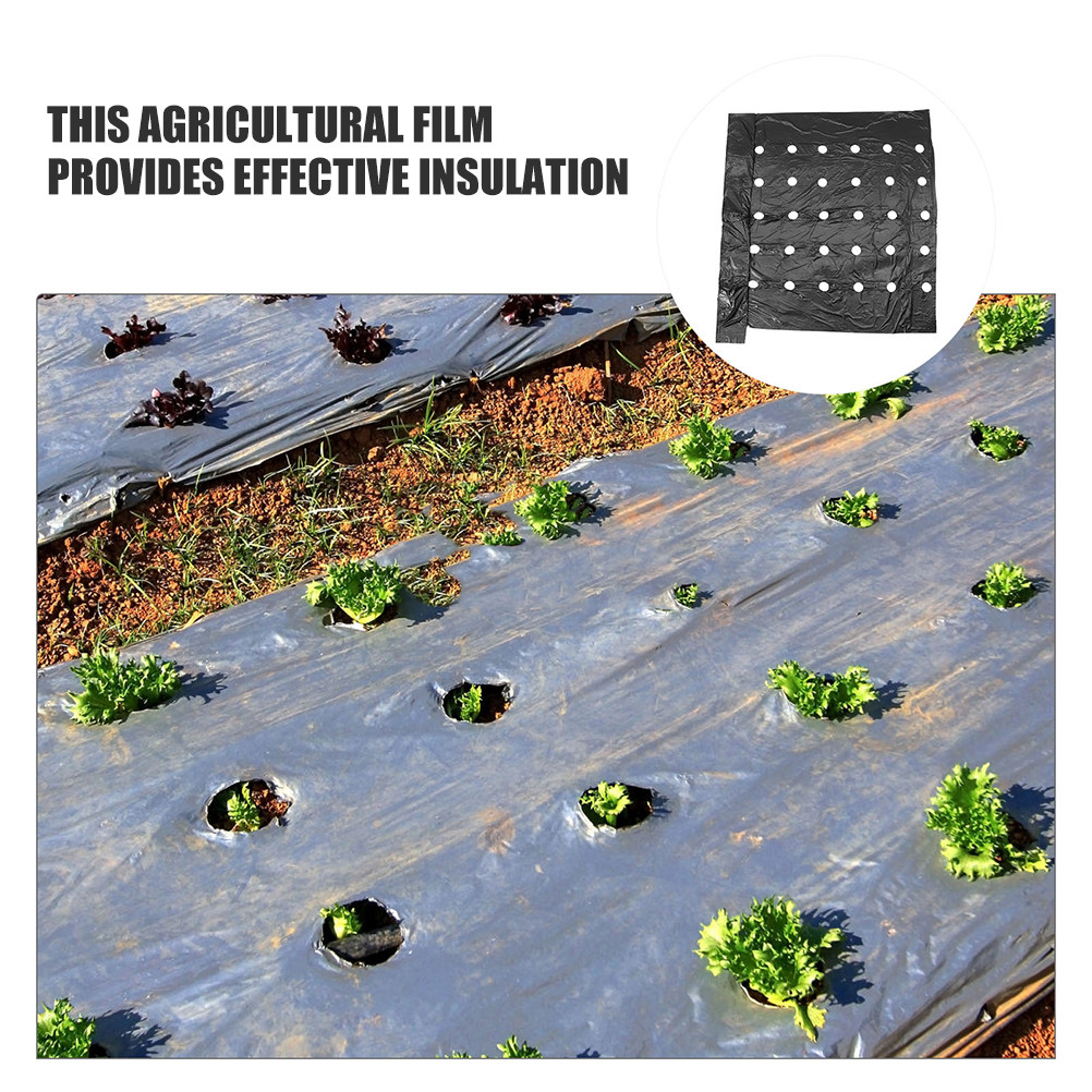 2Pcs Perforated Pe Mulching Fi – Farming In Agriculture Bewertung und Preis