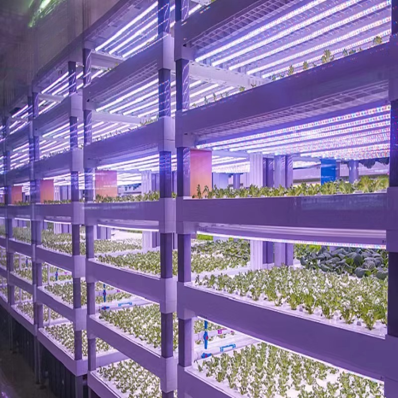Custom Agricultural Greenhouse – Agriculture Farming Systems Bewertung und Preis