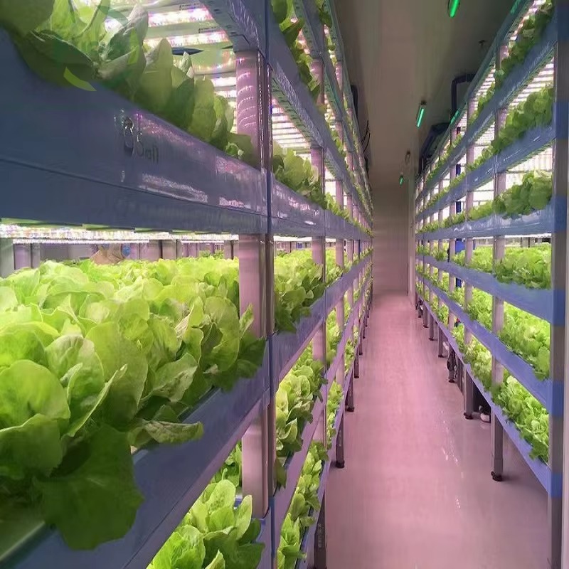 Custom Agricultural Greenhouse – Agriculture Farming Systems Bewertung und Preis