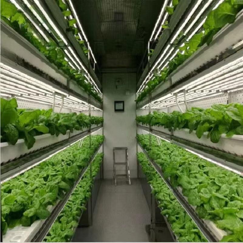 Custom Agricultural Greenhouse – Agriculture Farming Systems Bewertung und Preis